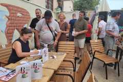 ligia_mateiu_arad_02