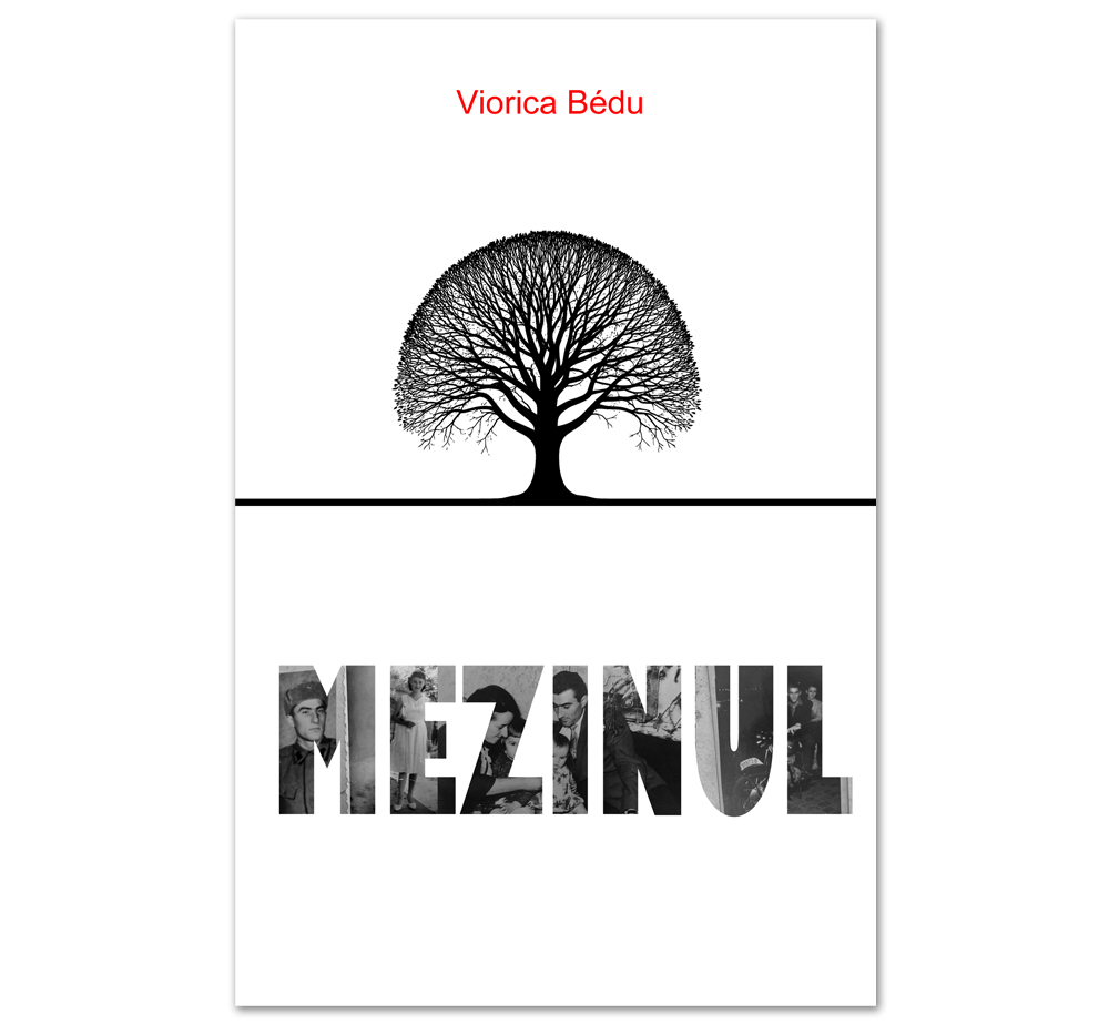 Mezinul - Viorica Bedu